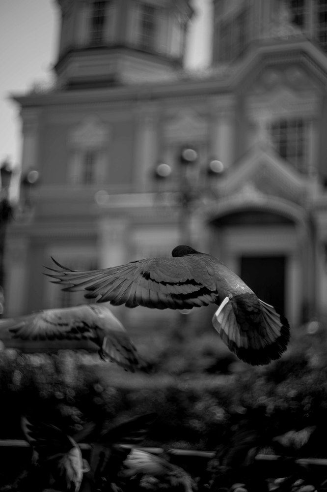 Photograph by Турар Давильбеков
