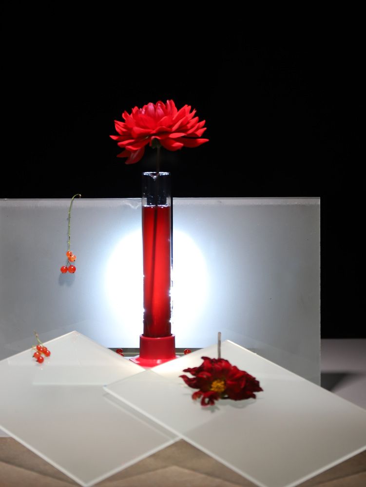 Photograph by Елена Тимченко