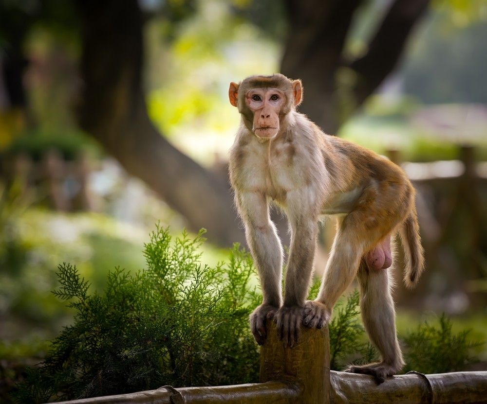 Photograph by Saurabh