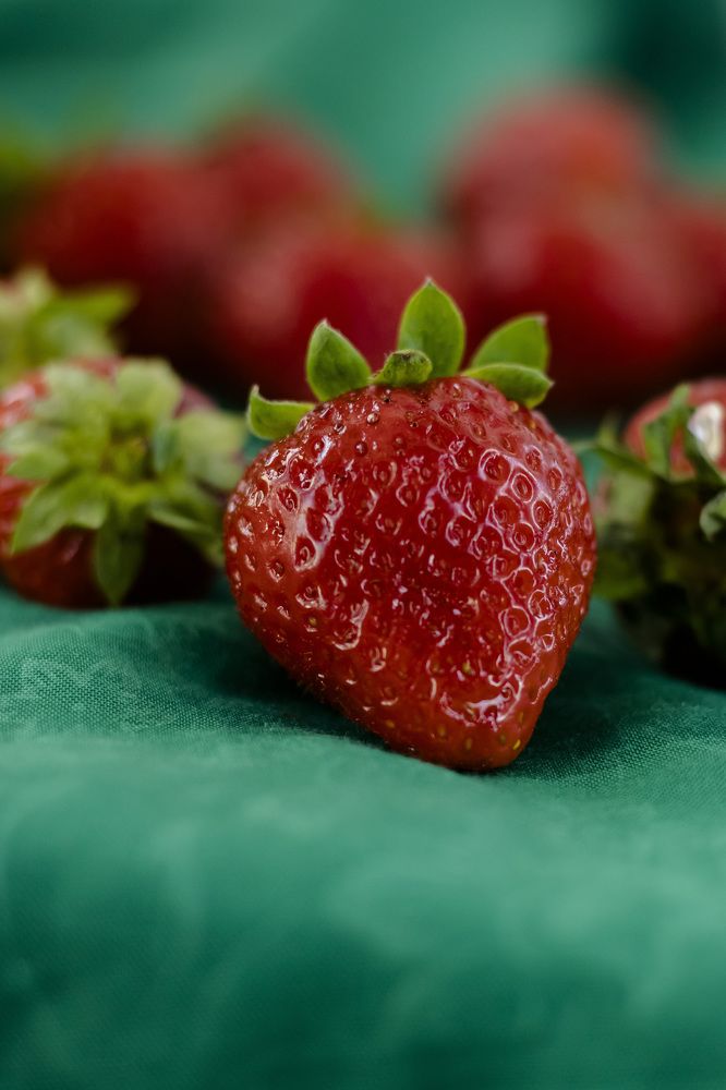 Photograph by Наталья Канарейкина