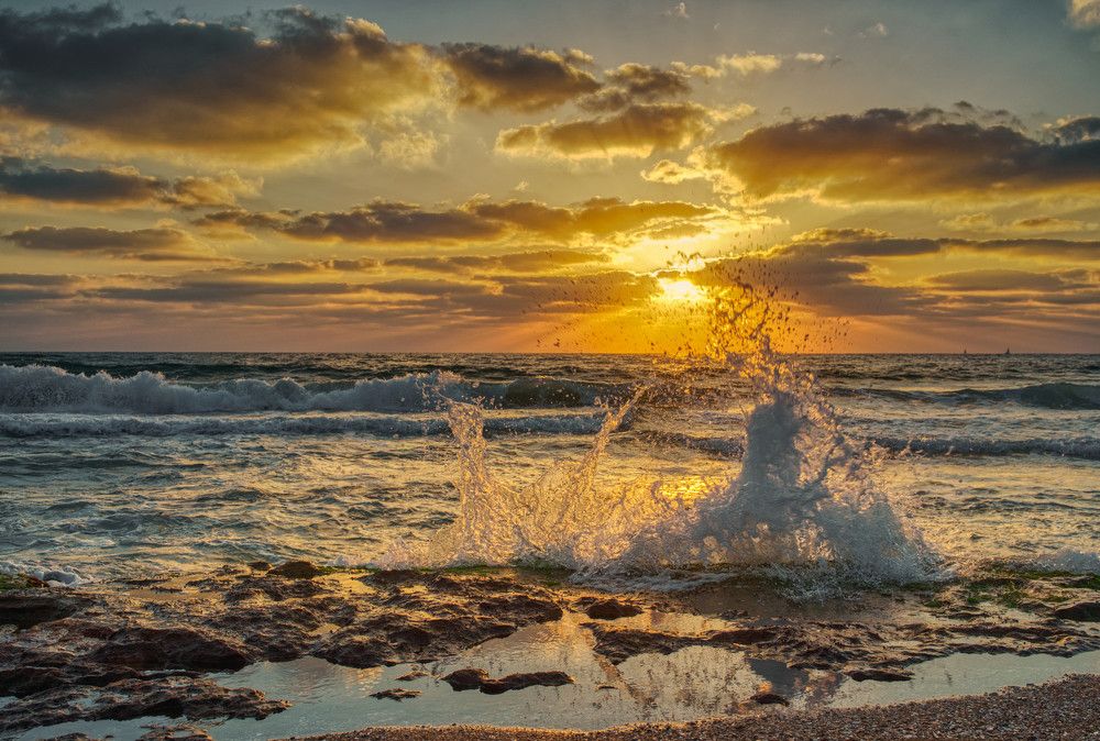 Фотография автора David Solodar