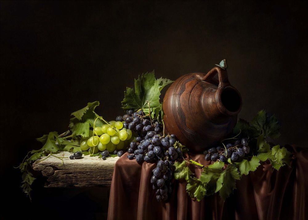 Photograph by Диана Трильо