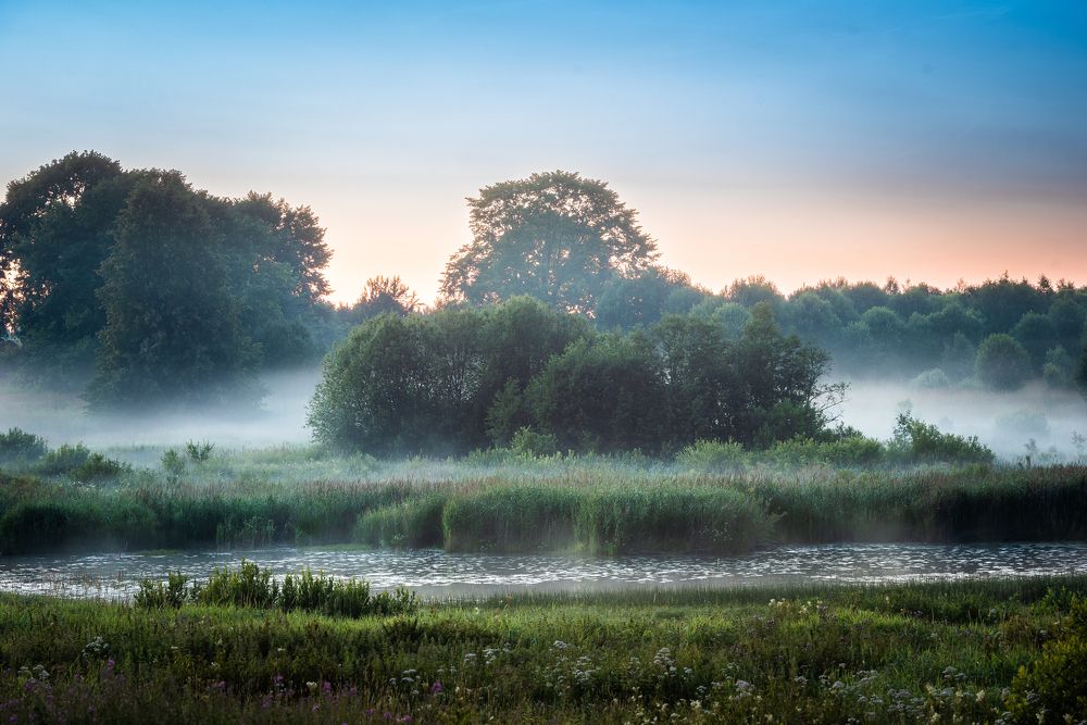 Фотография автора Дмитрий Дроздов