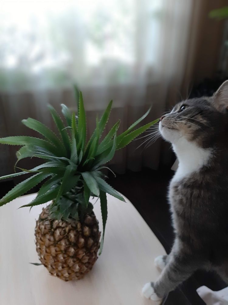 Photograph by Elena Goreva