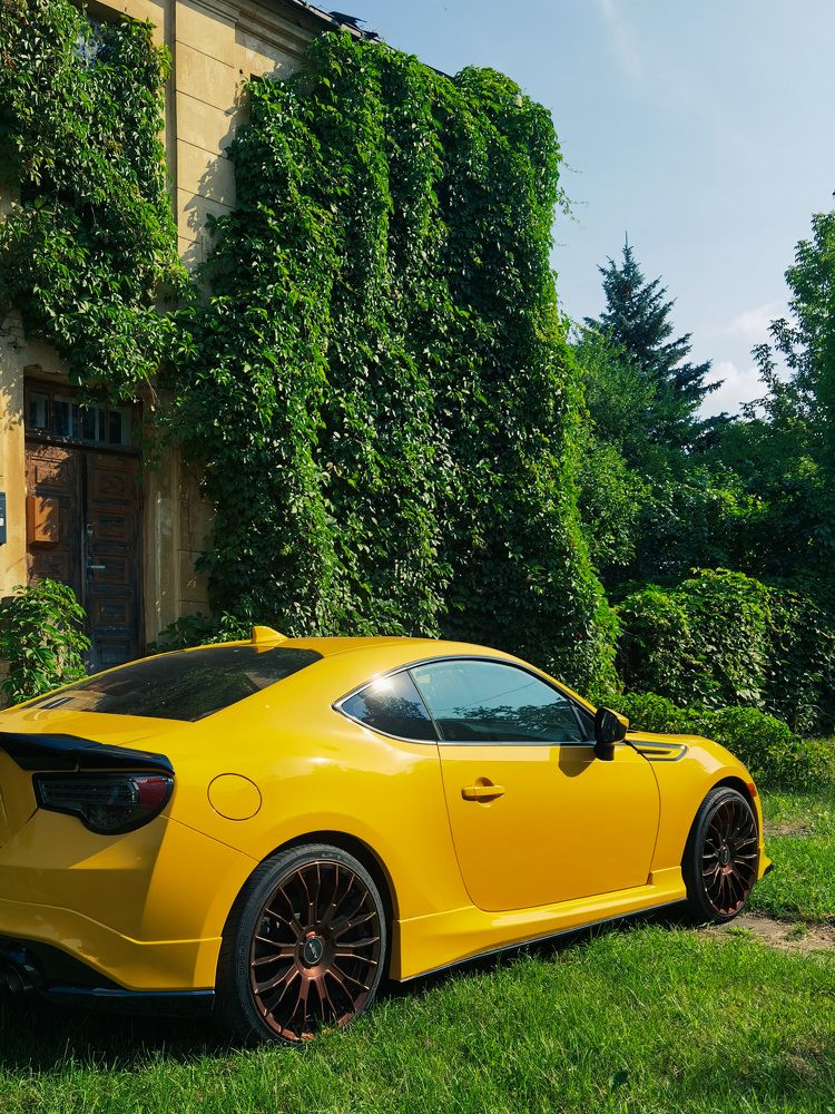 Фотография автора Tatiana Kots