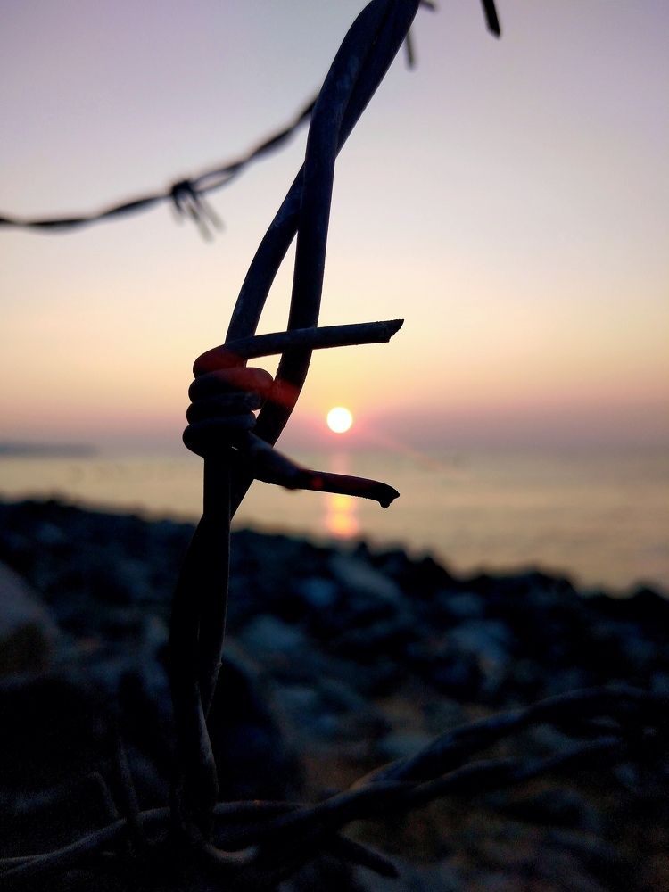 Photograph by Анна Гросу