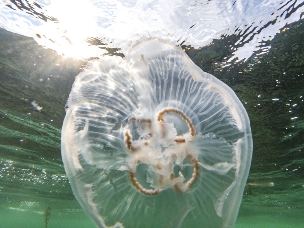 Photograph by Андрей Михайлов