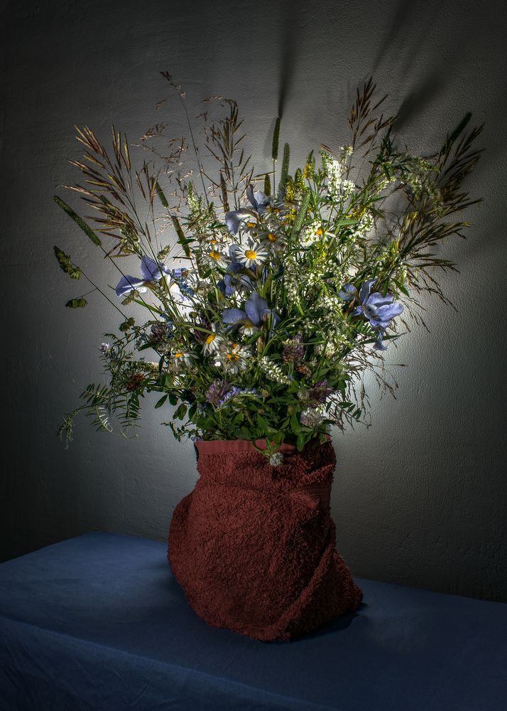 Полевые цветы