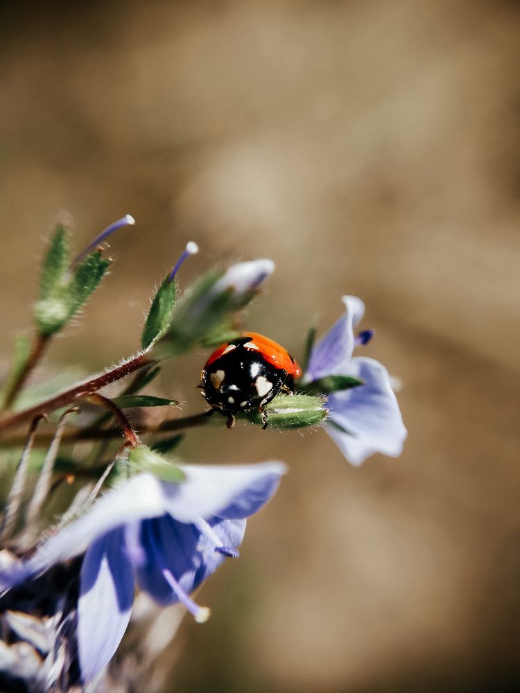 Photograph by Анастасия Яковлева