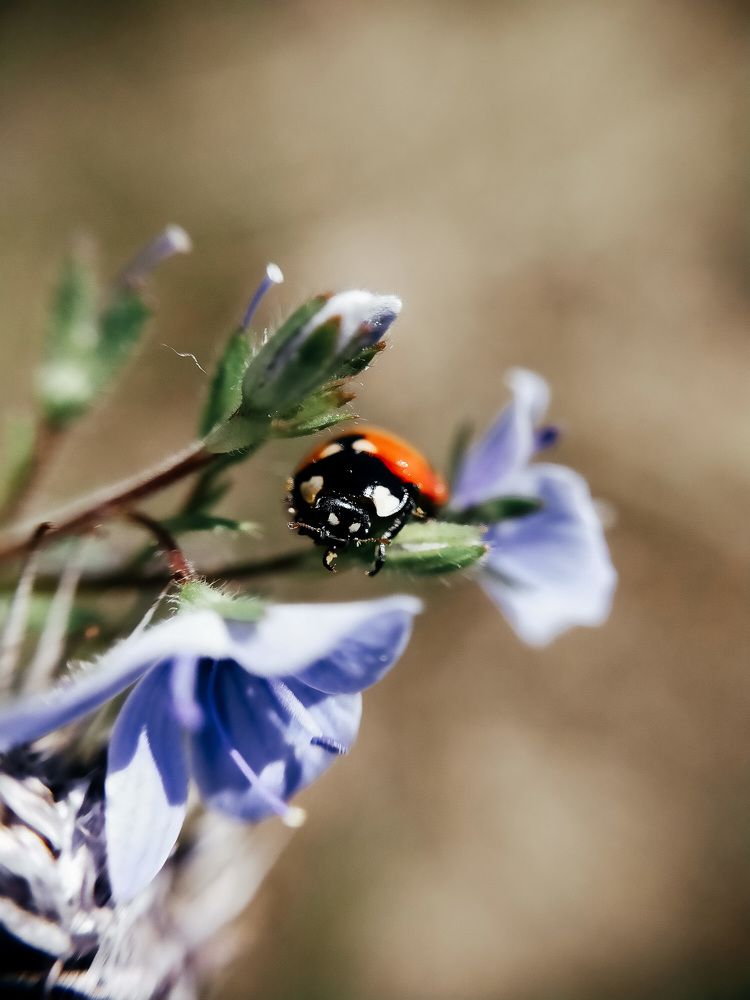 Photograph by Анастасия Яковлева