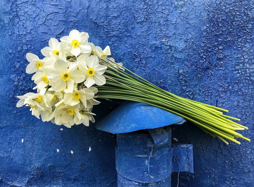 Photograph by Алексей Епишкин