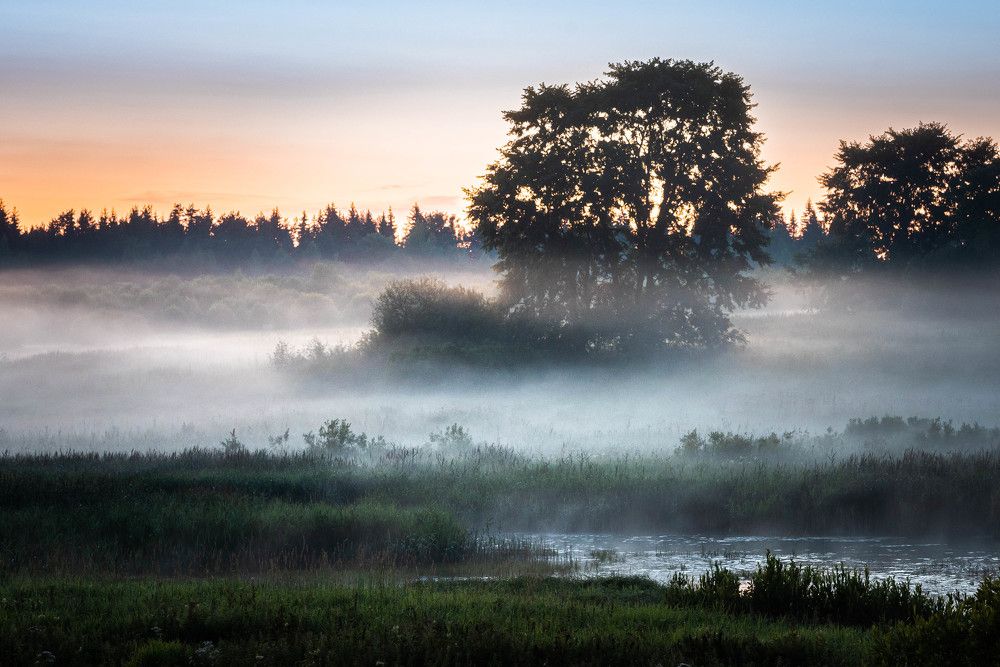 Фотография автора Дмитрий Дроздов