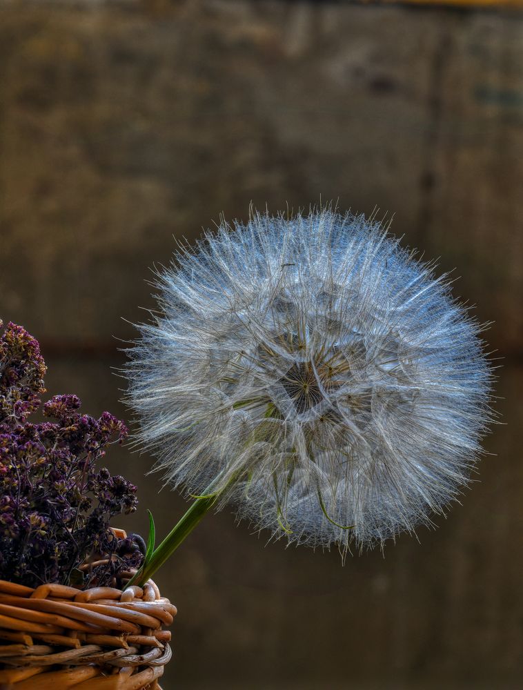 Photograph by Владимир Кваша