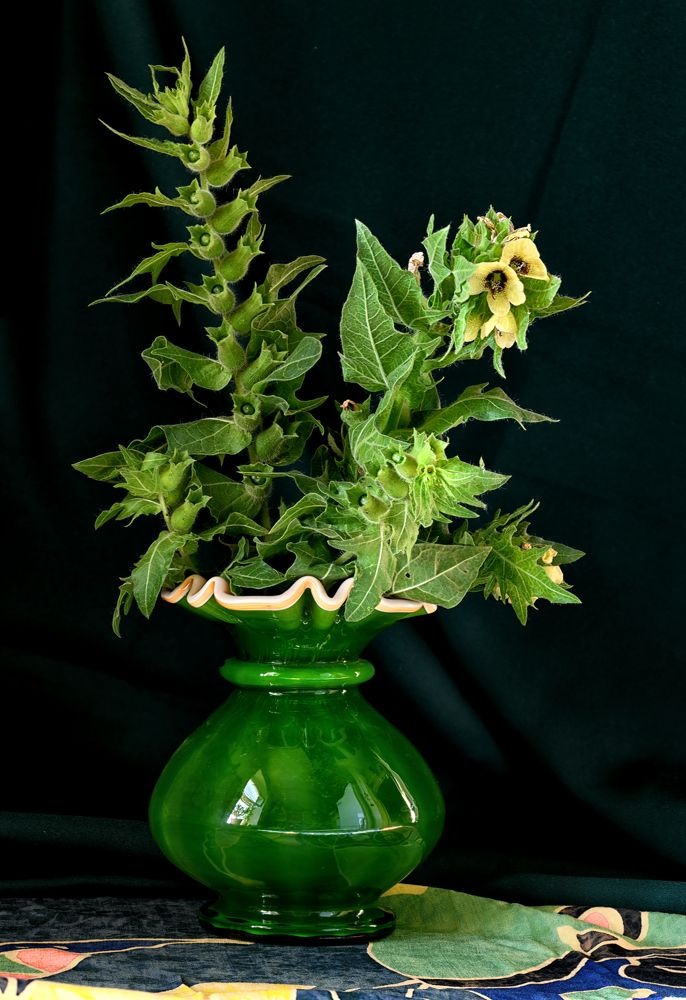 Photograph by Владимир Кваша