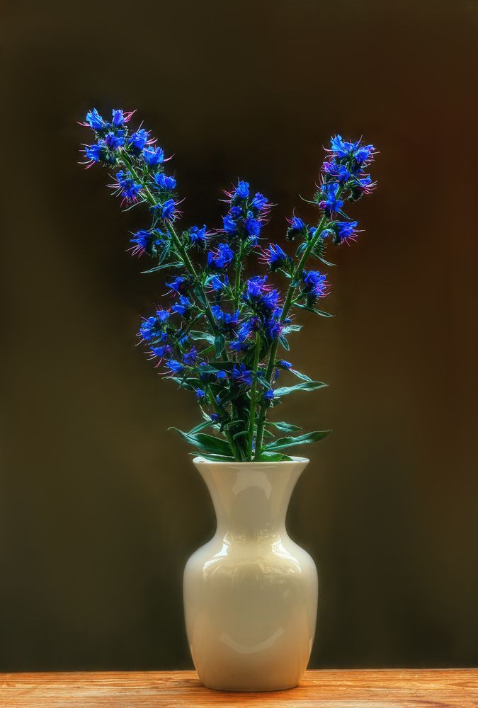 Photograph by Владимир Кваша