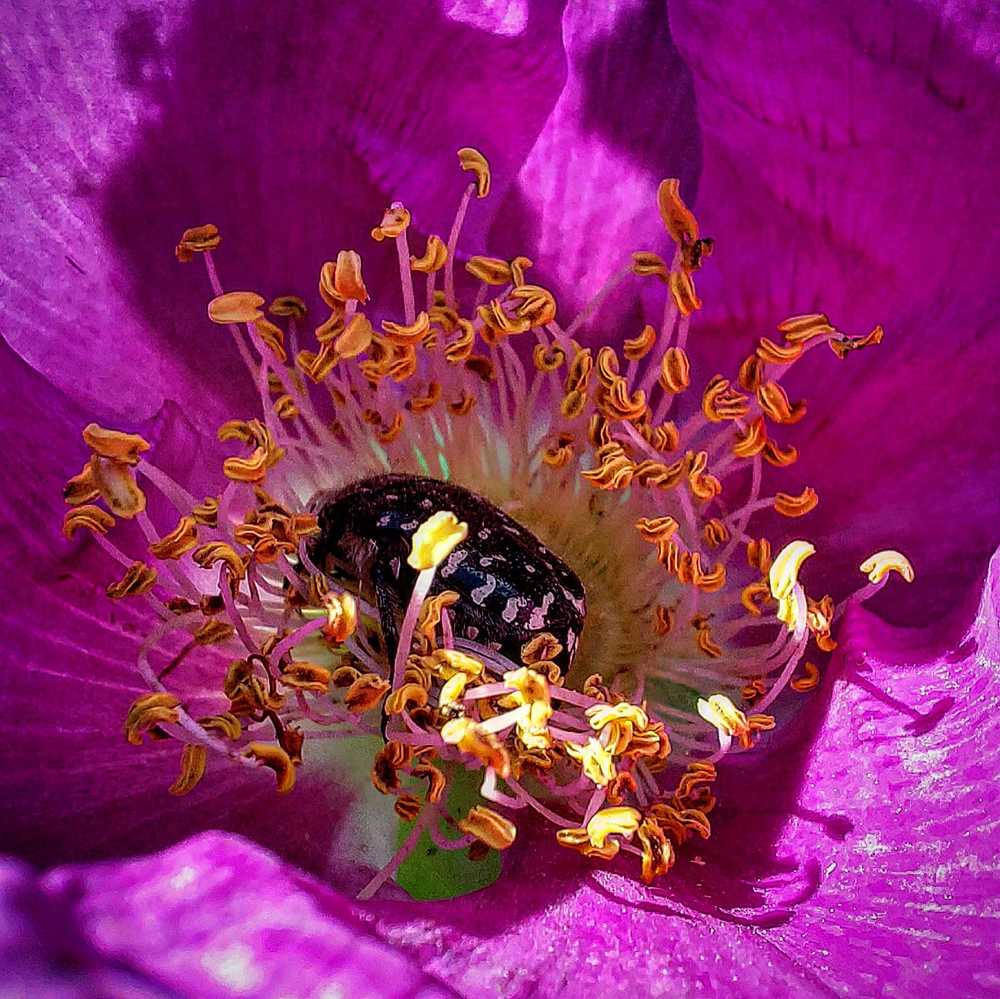 Photograph by Наталья Никитина