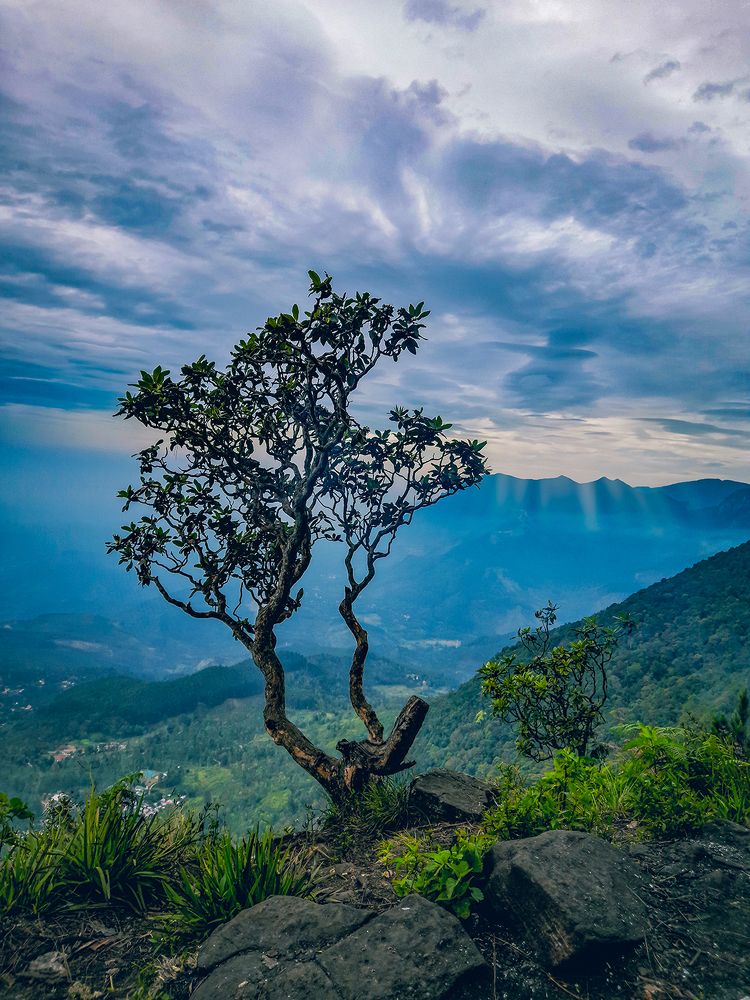 Photograph by Kalpa Aponsu