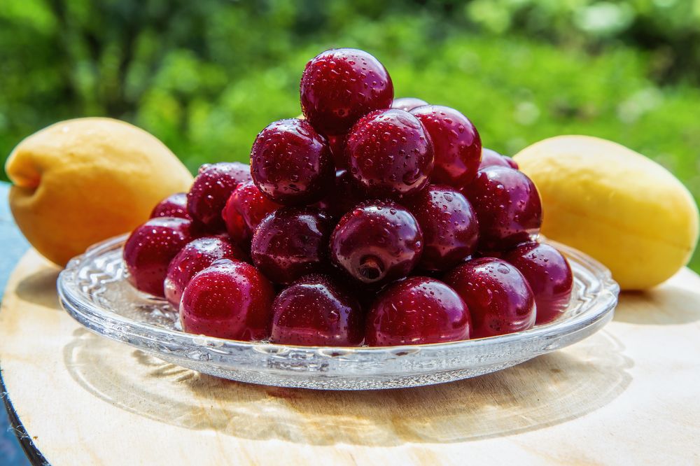 Photograph by Почечуй Андрей