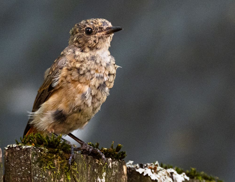 Photograph by Курлянцев Алексей