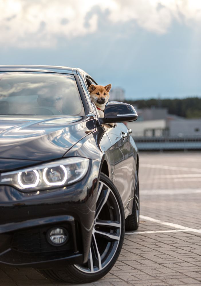 Photograph by Елена Иванова