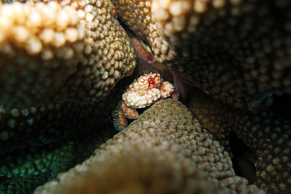 Photograph by Quyen Pham