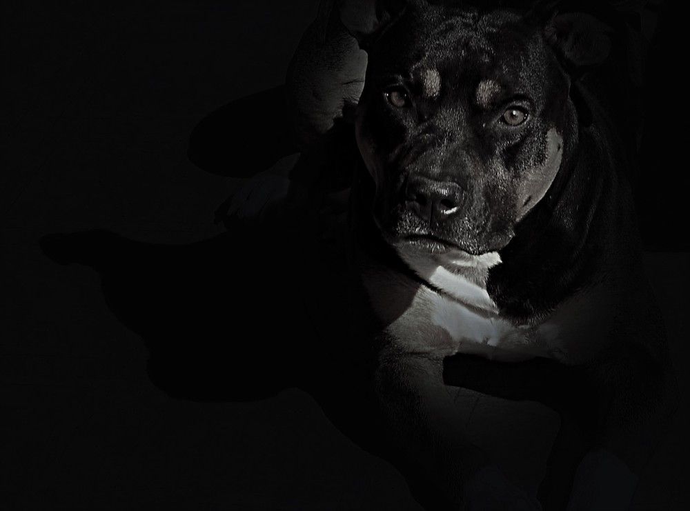 Photograph by Дмитрий Грысюк