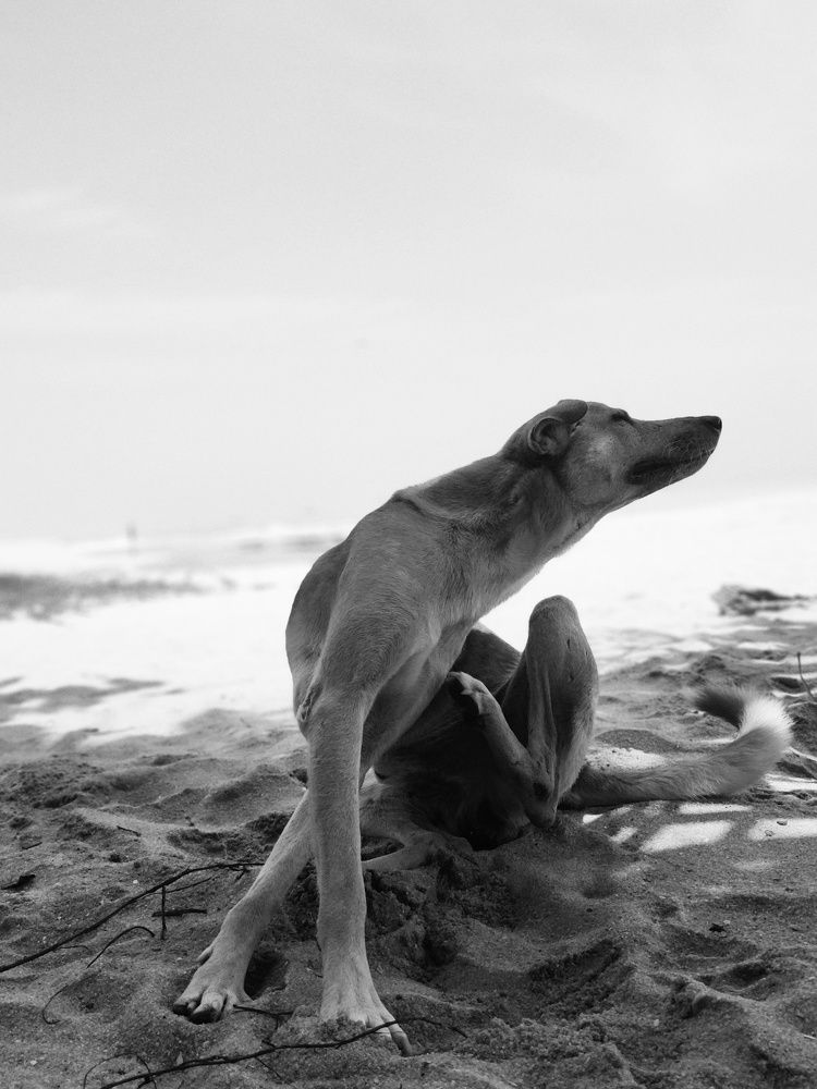 Photo #7887522