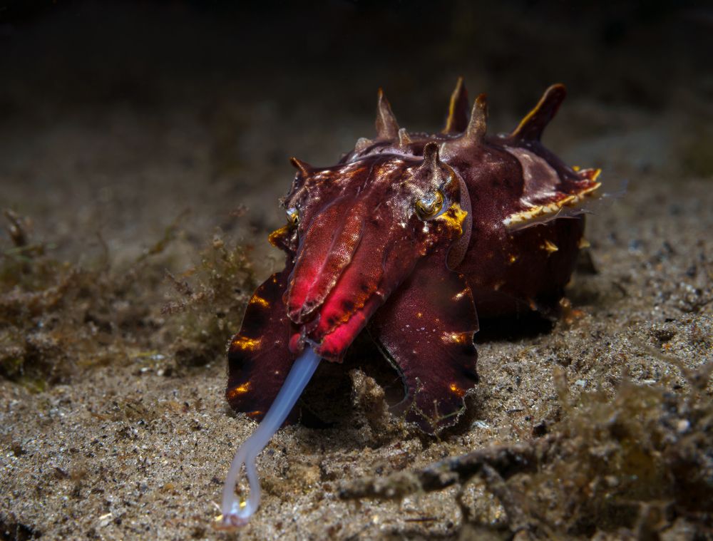 Photograph by Савин Андрей