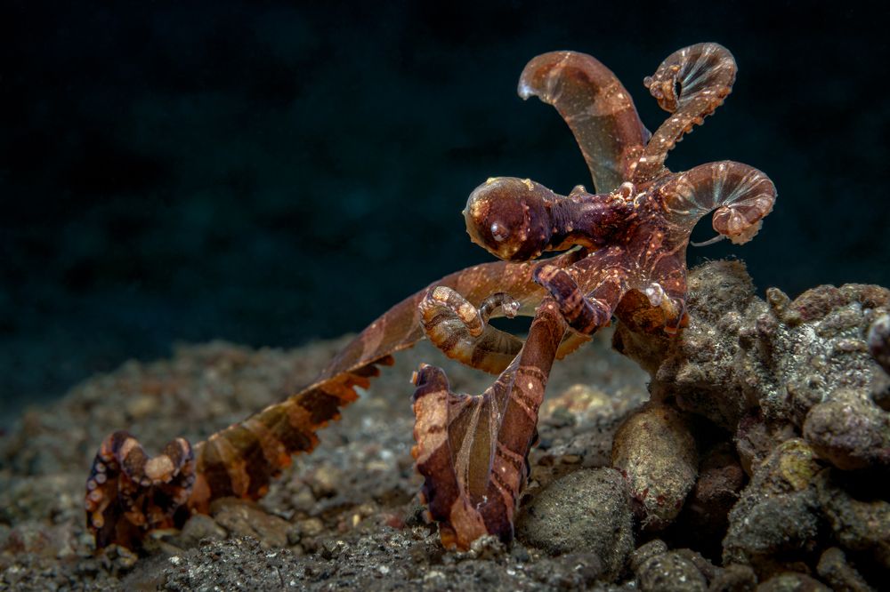 Photograph by Савин Андрей