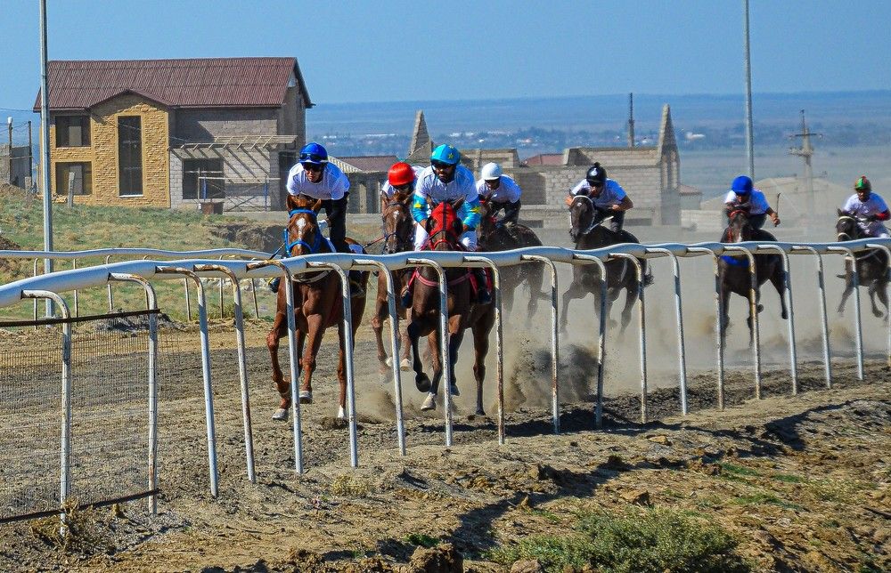 Photograph by Инна Гаджиева