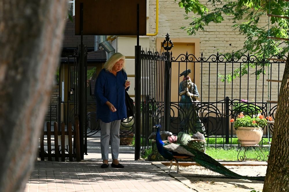 Photograph by Алексей Гордеев