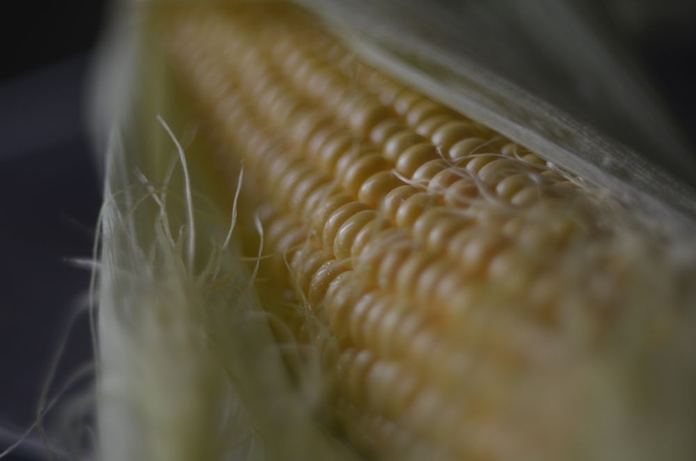 Photograph by Valentina