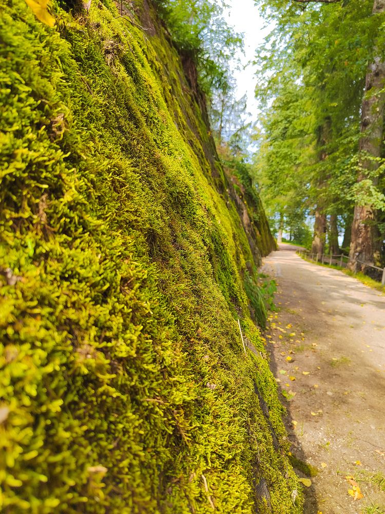 Фотография автора Наталья Королева
