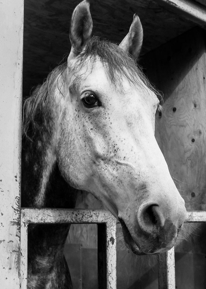 Photograph by Даша Антипина