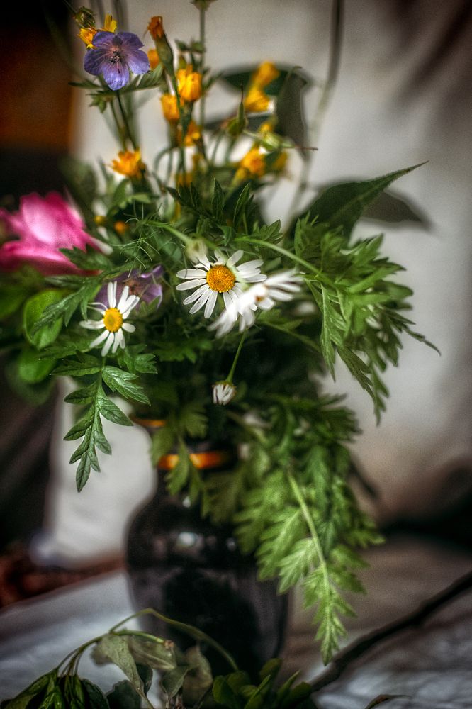 Photograph by Элла Алексеева