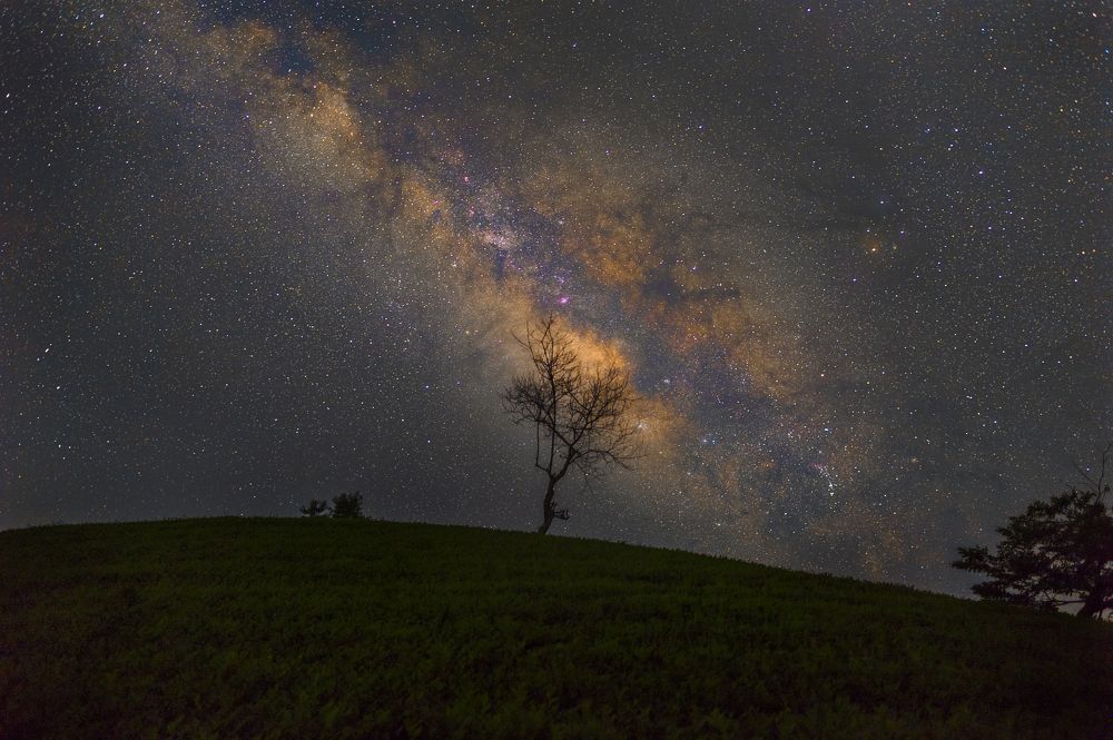 Photograph by Chris Duy