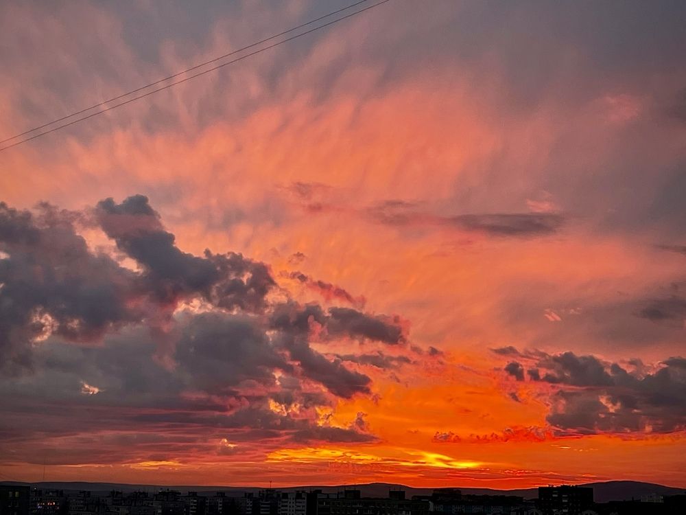 Фотография автора Юлия Шумейко