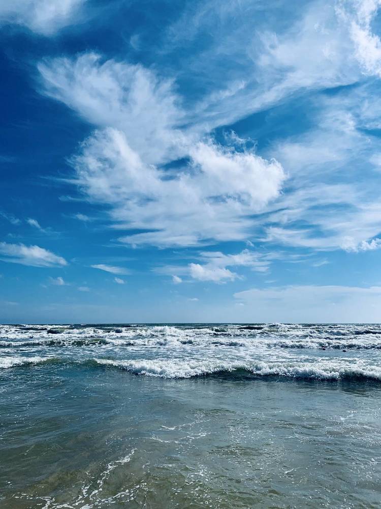 Four seas: Barents, White, Black, Mediterranean