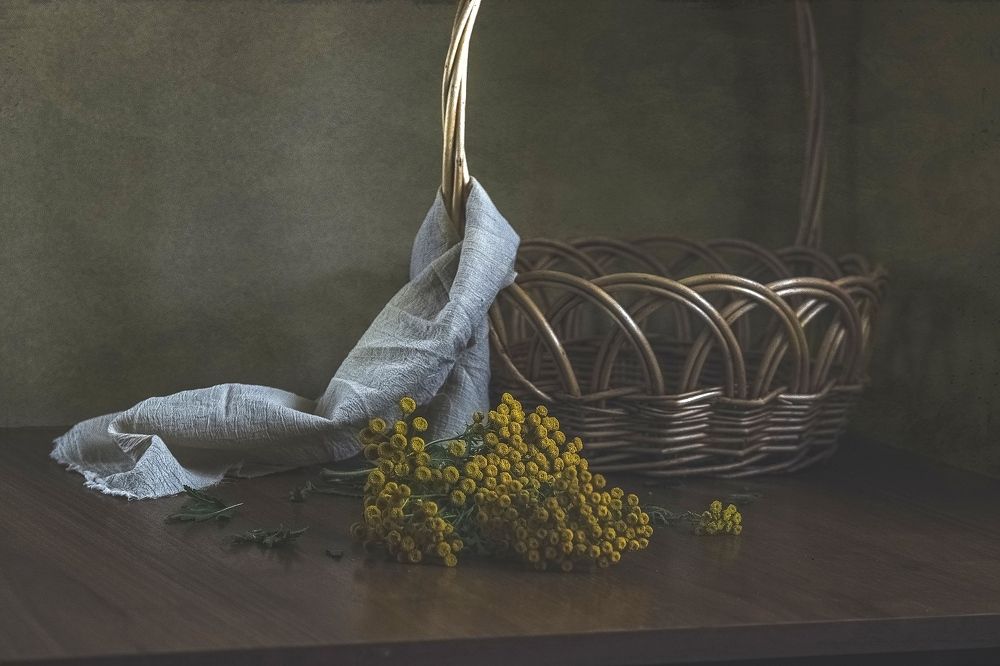 Photograph by Inna Gritsik