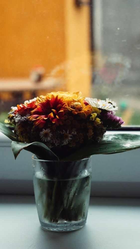 Photograph by Ирина Шпак