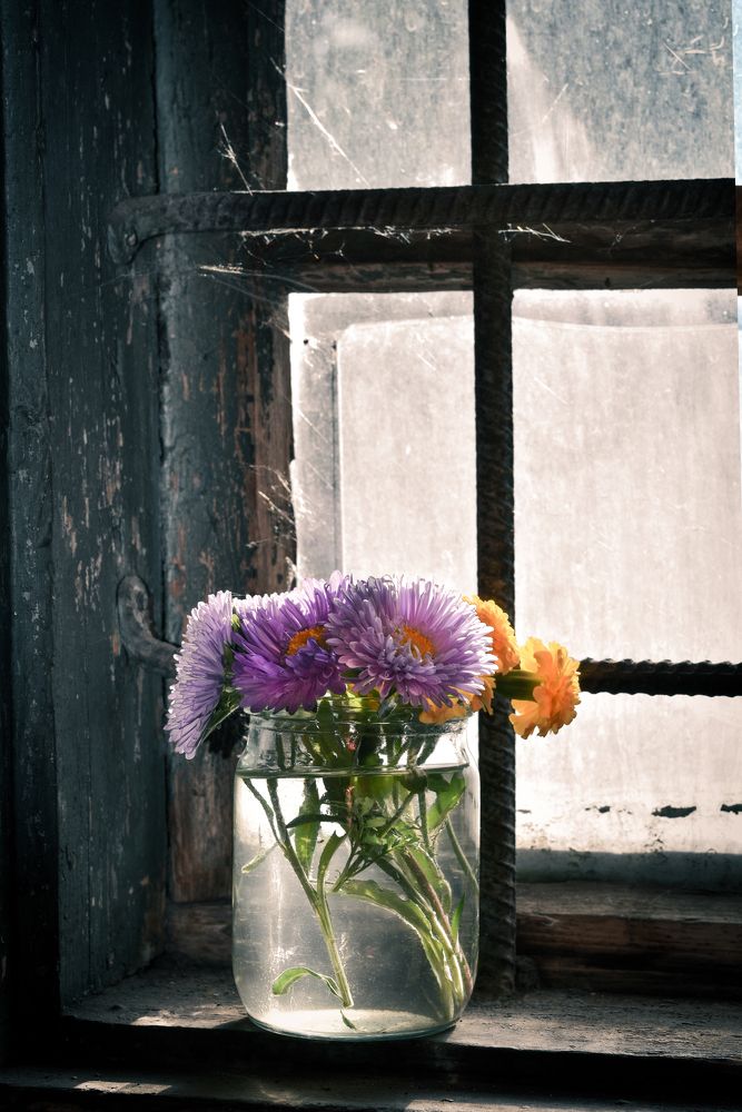 Фотография автора Roman Penkov