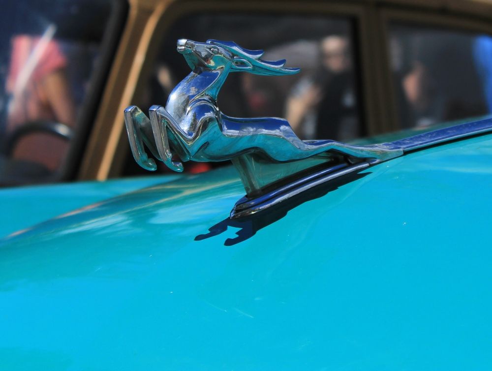 Photograph by Mila Milyutina