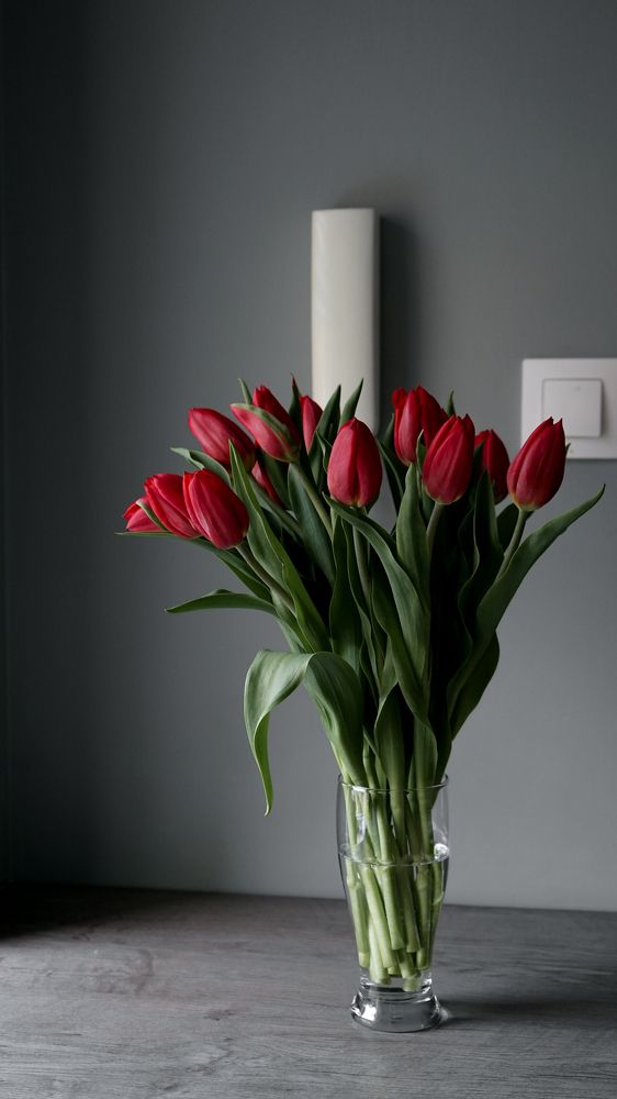 Photograph by Ирина Шпак