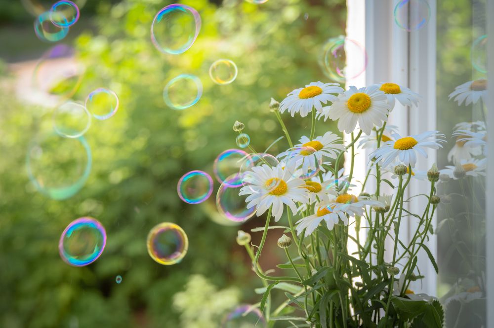 Photograph by Галина Патрушева