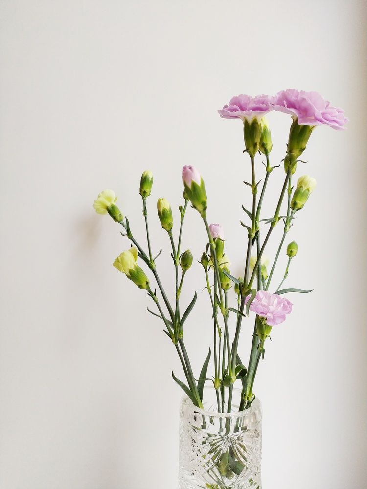 Photograph by Элизабет Романович