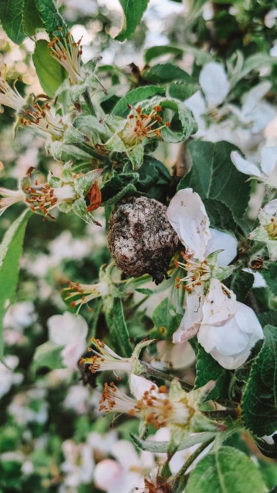 Photograph by Юлия Мулданин