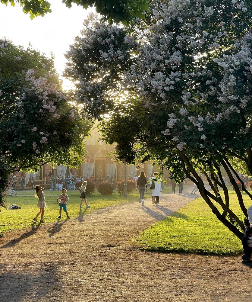 Photograph by Михаил Гордий