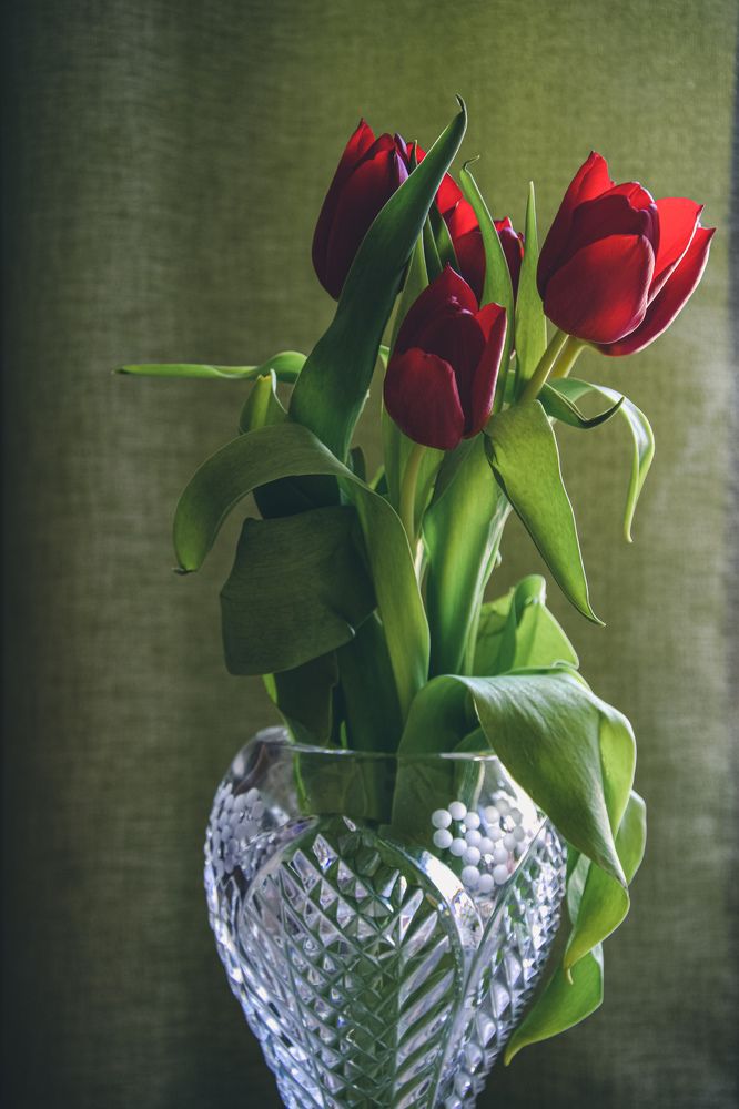 Photograph by Юлия Мулданин