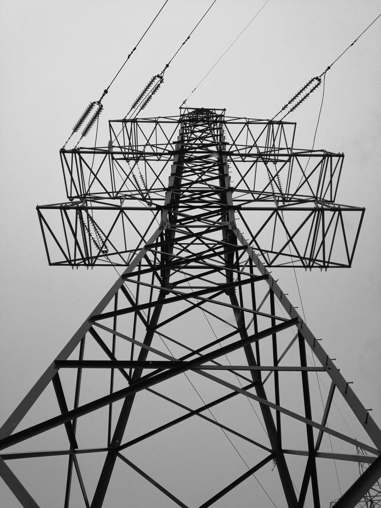 Photo #7888023
