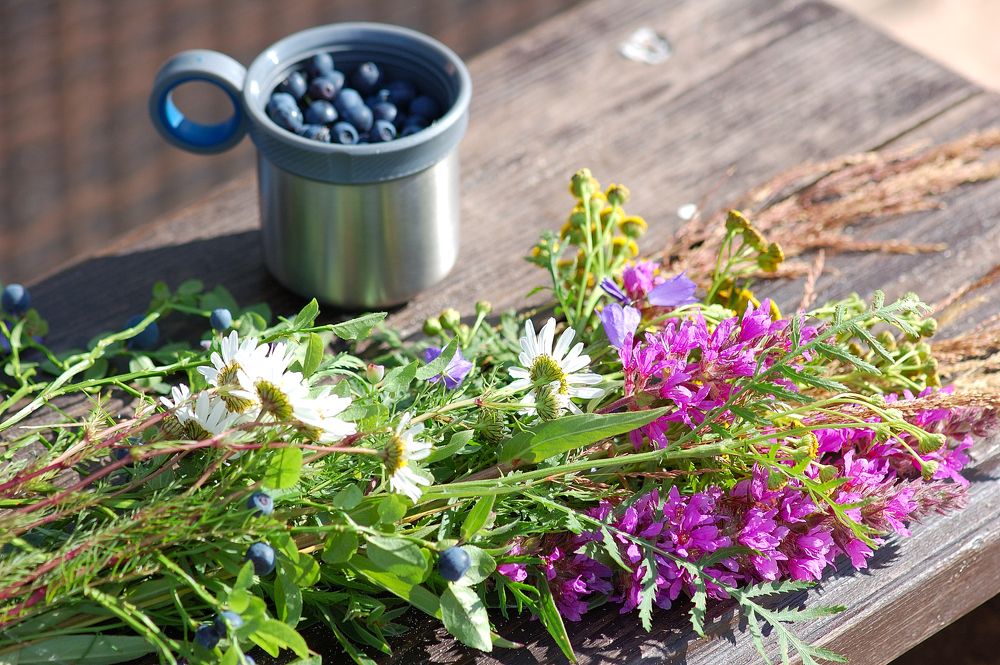 Photograph by Anna Boitcova